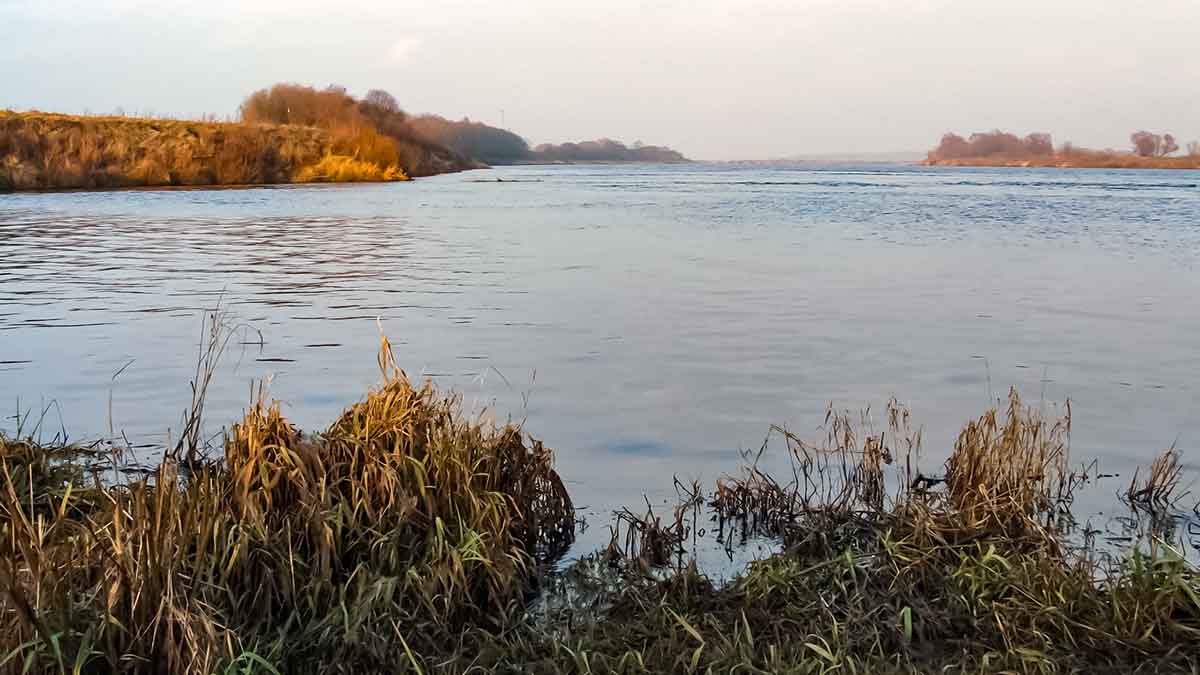 Karšių gaudymas sningant
