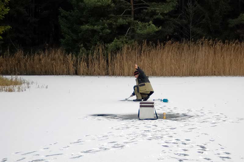Jei vandens telkiniai neužšąla Jei vandens telkiniai neužšąla