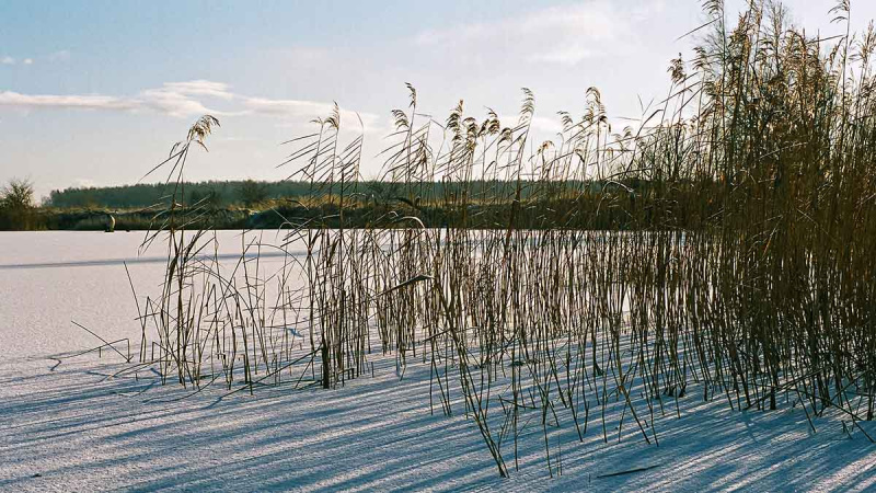 Meldų karalijoje. Pirma dalis Meldų karalijoje. Pirma dalis