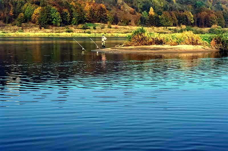 Tarsi Robinzonas Kruzas