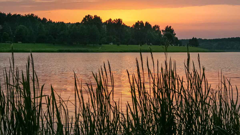 Karosus – dugnine meškere. Pirma dalis Karosus – dugnine meškere. Pirma dalis