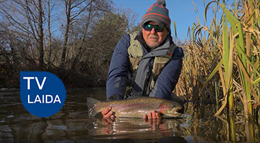 Vaivorykštiniai upėtakiai Šešupėje