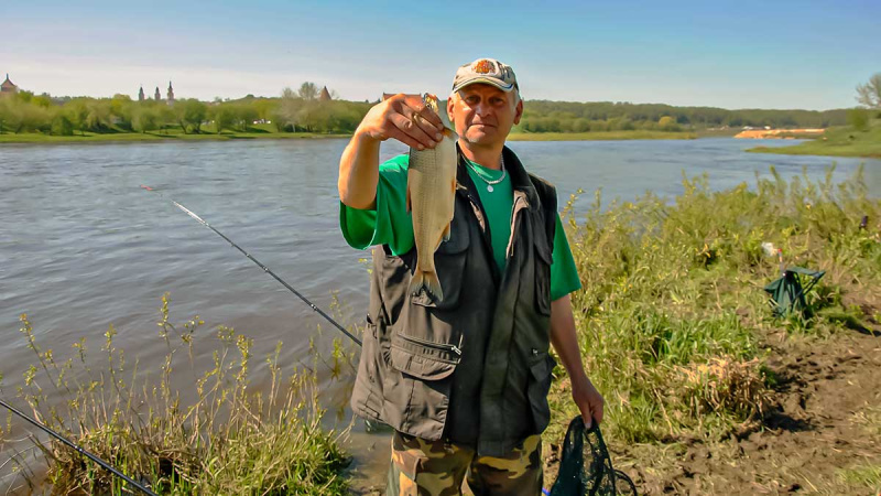 Pavasarinė žiobrių fiesta
