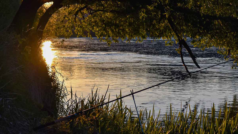 „Balta“ žuvis juodą naktį. Pirma dalis „Balta“ žuvis juodą naktį. Pirma dalis