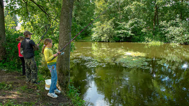 Vandens džiunglių labirintuose. Negiminingi, bet labai panašūs Vandens džiunglių labirintuose. Negiminingi, bet labai panašūs