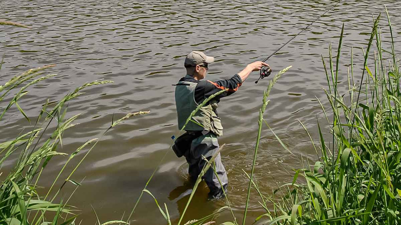 Dar sykį apie salačių gaudymą Dar sykį apie salačių gaudymą