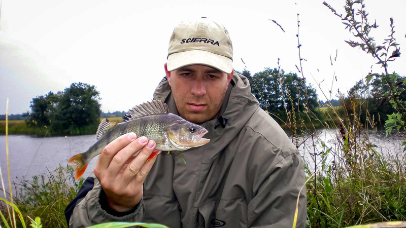 Apie saulę, vėją ir lietų. Pirma dalis Apie saulę, vėją ir lietų. Pirma dalis