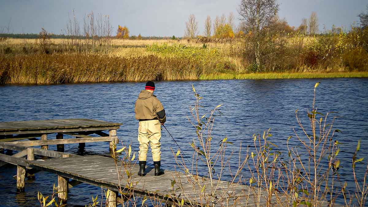 Ar sunku įsisavinti tvičingą? Techniniai niuansai Ar sunku įsisavinti tvičingą? Techniniai niuansai