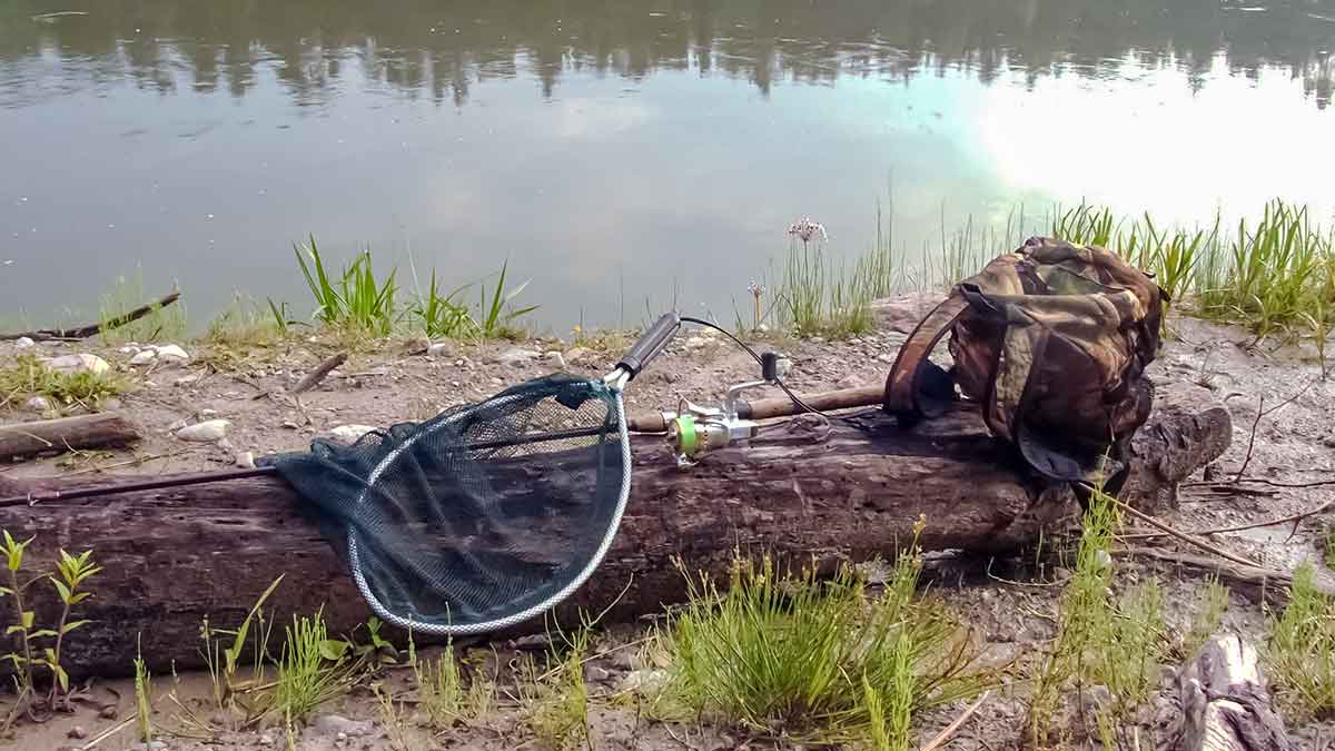 Viskam savas laikas Viskam savas laikas