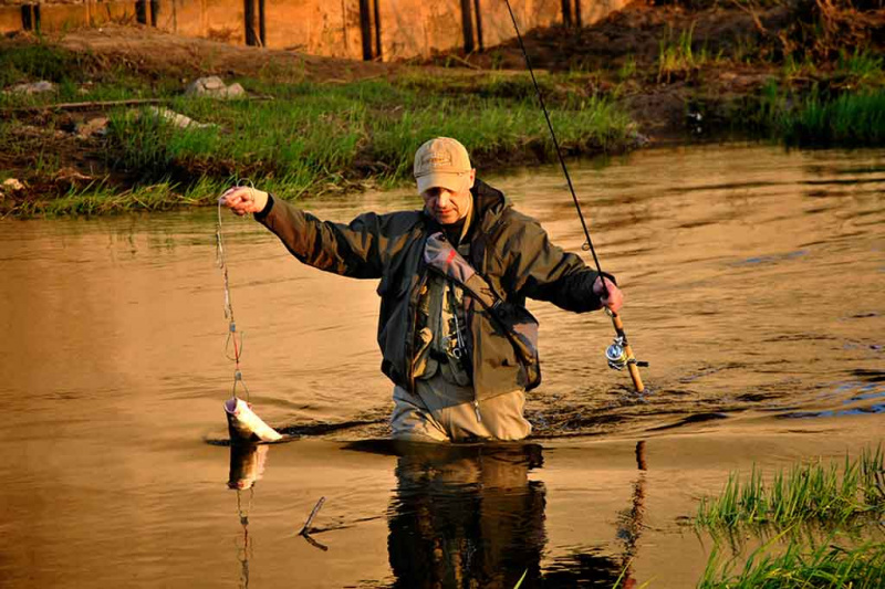 Sterkui, salačiui, ešeriui...