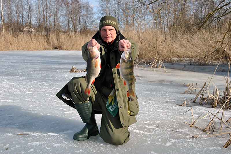 Ešerius – blizge prie dugno Ešerius – blizge prie dugno