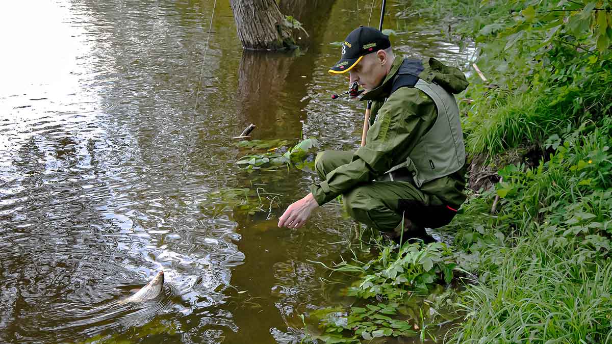 Didelė mažų svarelių reikšmė. Trečia dalis Didelė mažų svarelių reikšmė. Trečia dalis