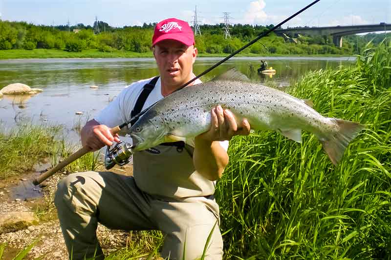 Nemuno lašišos. Apie žūklavietes Nemuno lašišos. Apie žūklavietes
