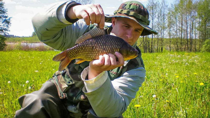 Balų valdovo kaprizai. Pirma dalis