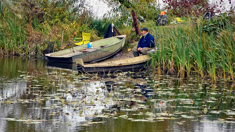 Balų valdovo kaprizai. Antra dalis Balų valdovo kaprizai. Antra dalis