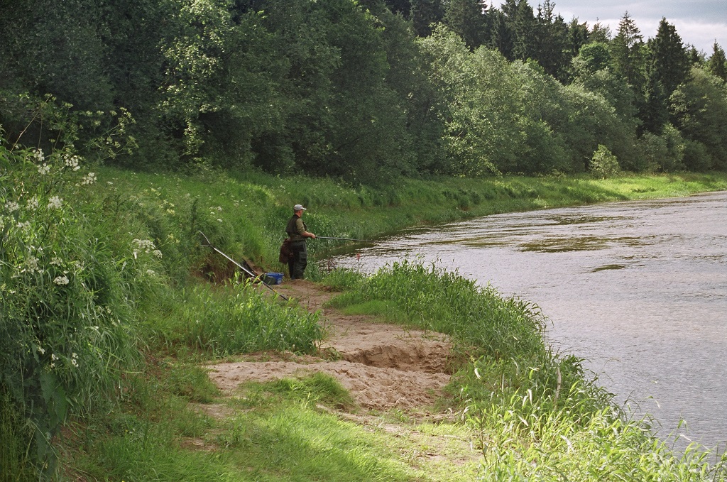 Pastaruoju metu ES vis ragina atsisakyti švininių svarelių, nes jie toksiški, ilgainiui gali užteršti vandens telkinius, pavojingi žmonių sveikatai  ir vietoje švino siūlo volframą
