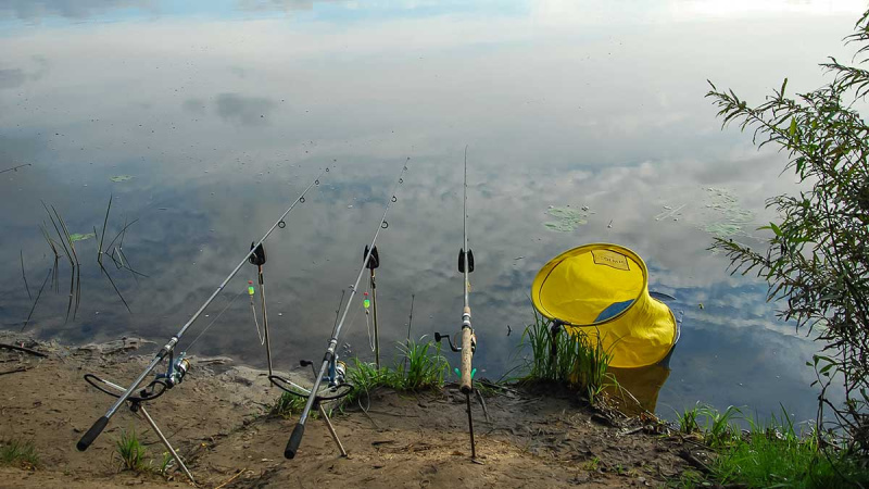 Dugninė. Karklo šaka ar specialus stovelis? Pirma dalis