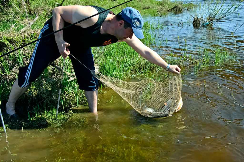 Paprastas ir nepaprastas žiobris