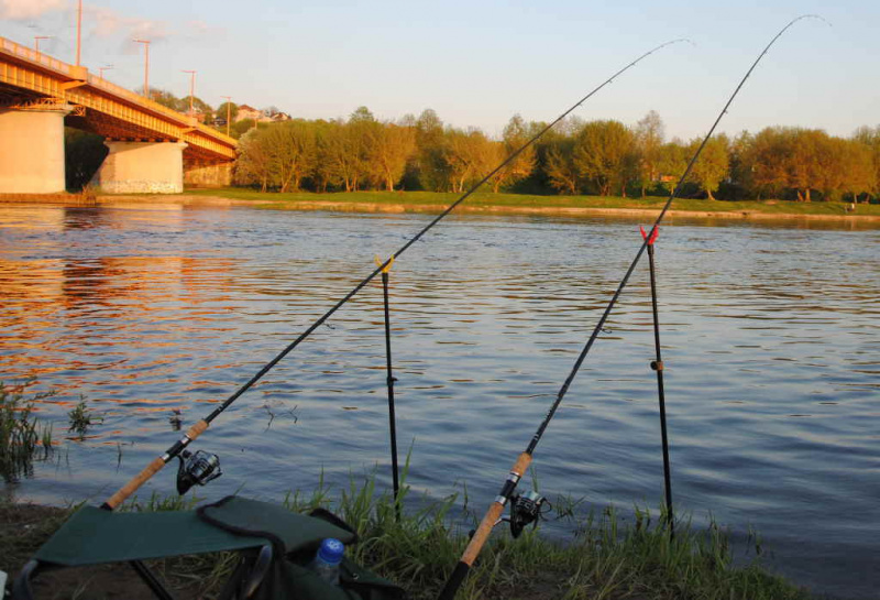 Mažas mailius – didelei žuviai Mažas mailius – didelei žuviai