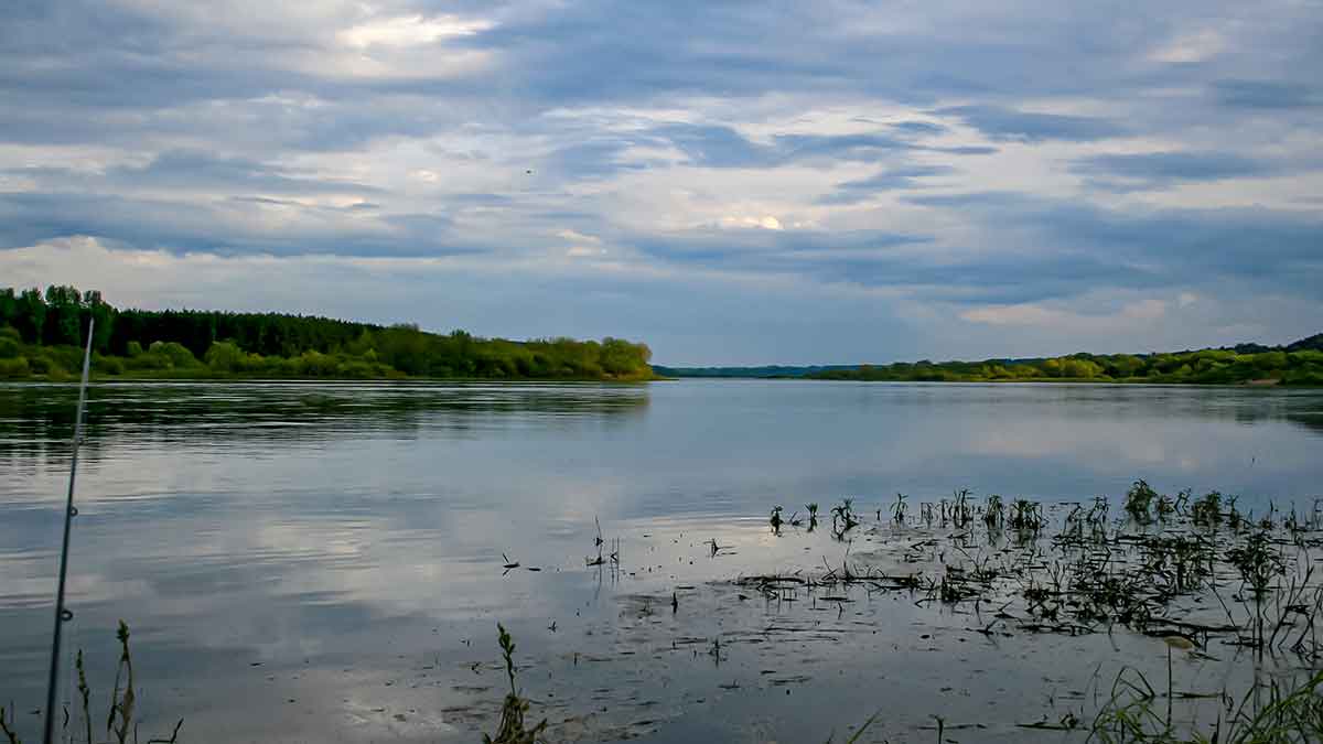 Dambologija. Trečia dalis Dambologija. Trečia dalis