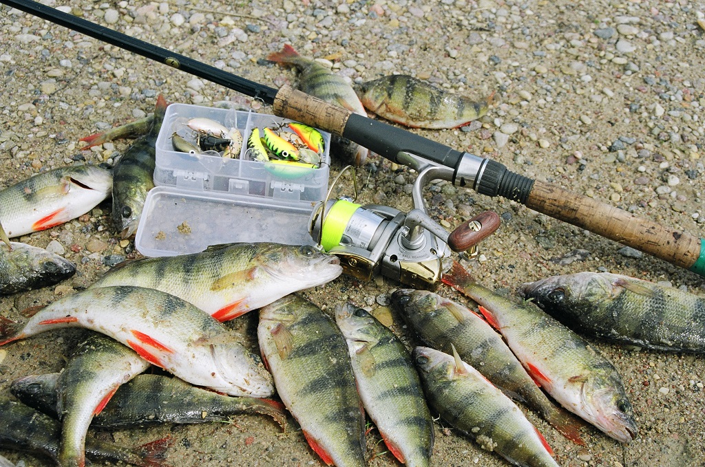 Vasarinių ešerių beieškant