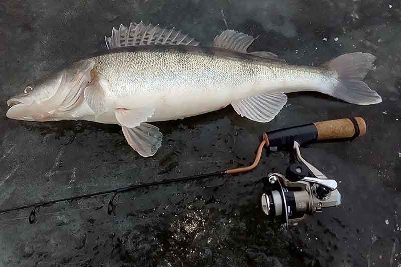 Prognozuoja atšilimą? Eisim sterkų! Prognozuoja atšilimą? Eisim sterkų!