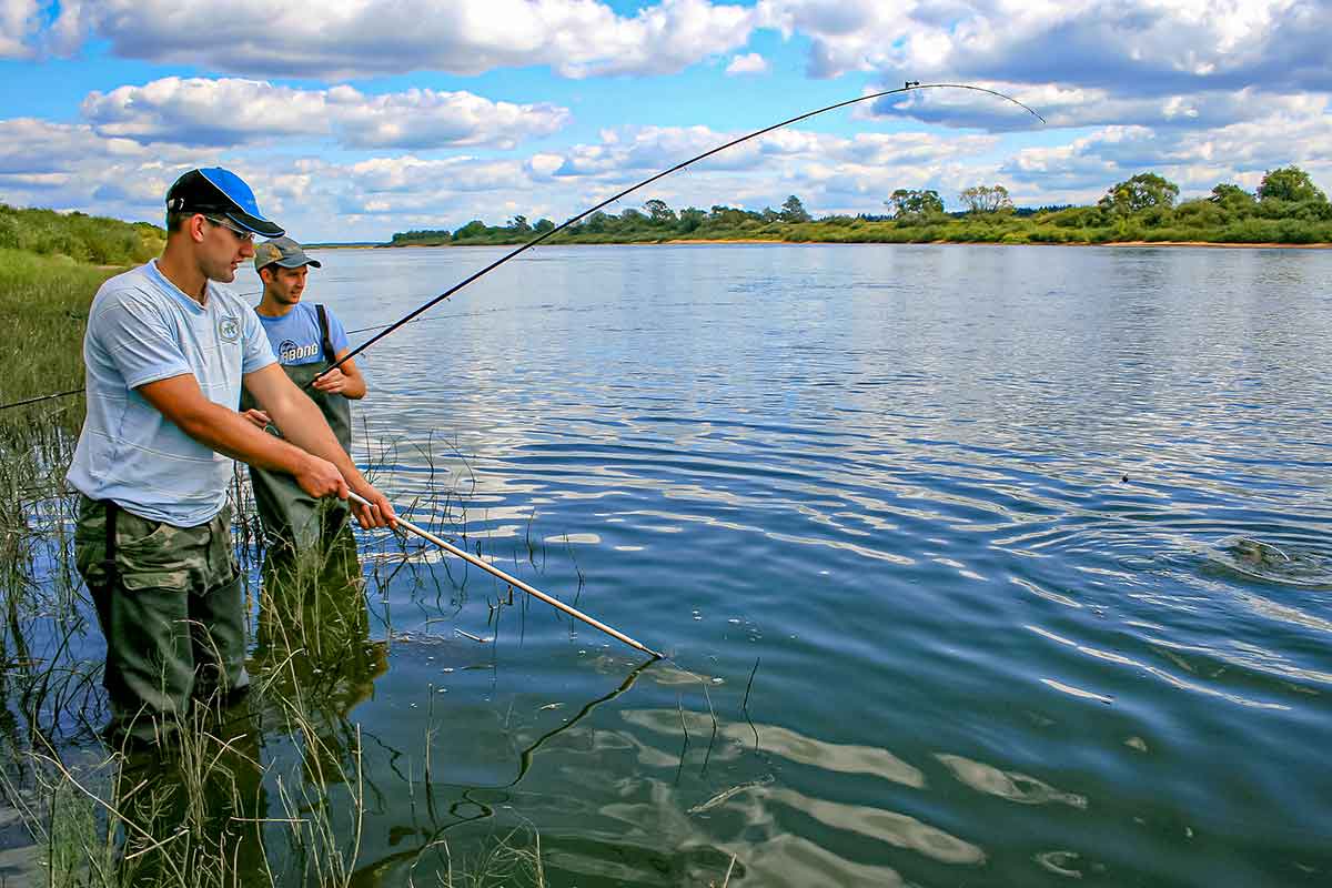 Dambologija. Trečia dalis Dambologija. Trečia dalis