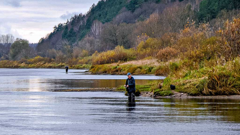 Ar sunku įsisavinti tvičingą? Ritė ir valas