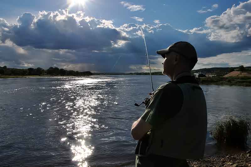 Kodėl (ne)kimba sterkai