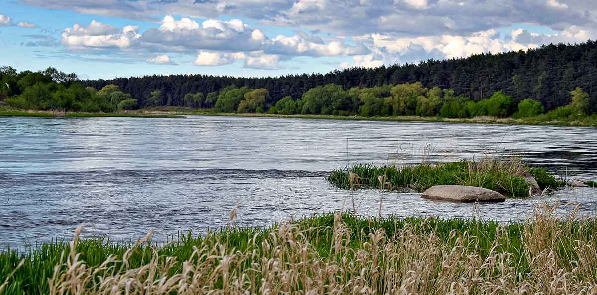 Sukriukės su pasunkintas kūneliais – vertas dėmesio masalas Sukriukės su pasunkintas kūneliais – vertas dėmesio masalas