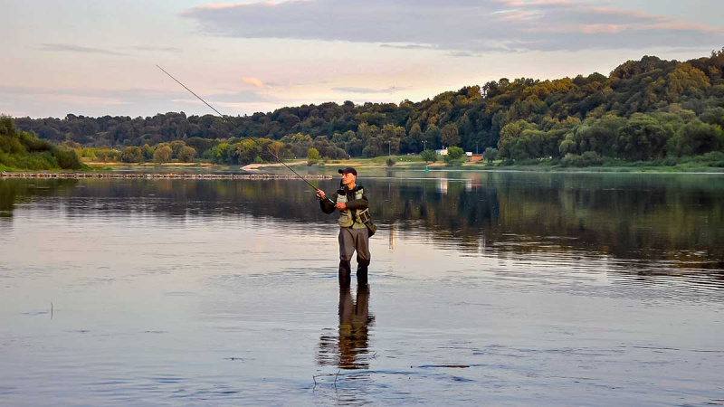 Sėkmingi žingsniai gaudant sterką
