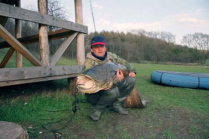 Šamo gaudymas spiningu iš valties Šamo gaudymas spiningu iš valties