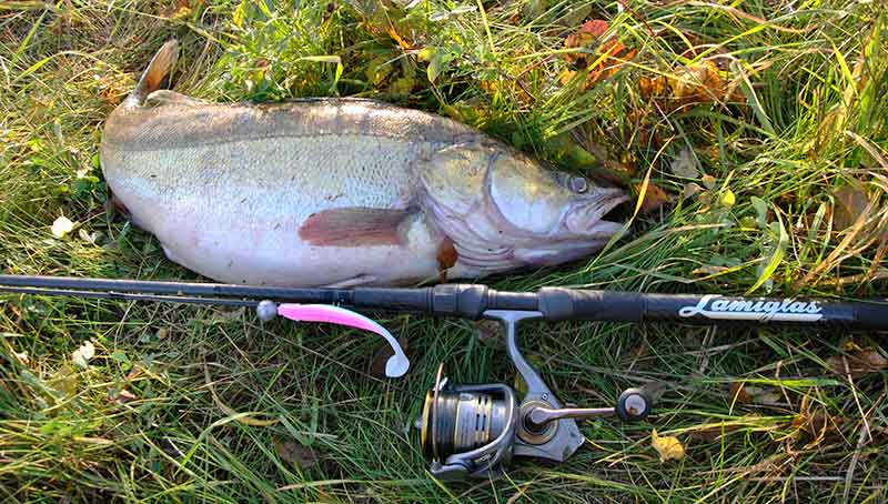 Spininginės ritės. Kuo jos ypatingos?