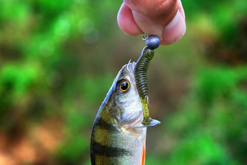 Ar sudėtinga užmauti guminuką?