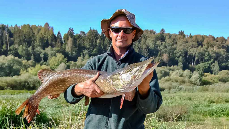 Lydekas – lydekomis. Apie žuvis kanibales