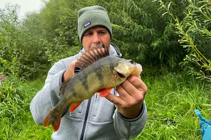 „Vabaliniai“ silikoniniai masalai ir jiems taikomos sistemėlės „Vabaliniai“ silikoniniai masalai ir jiems taikomos sistemėlės