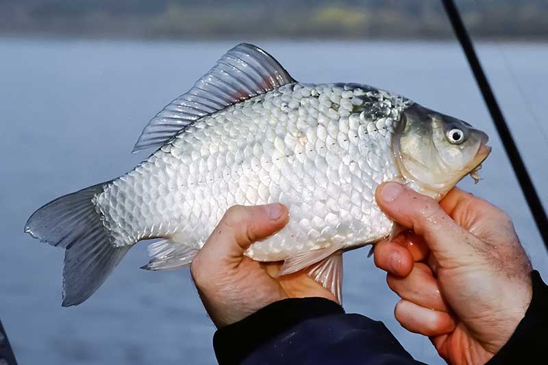 Su plūdine iš valties