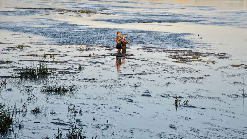 Vandens džiunglių labirintuose. Dar keli prisitaikėliai Vandens džiunglių labirintuose. Dar keli prisitaikėliai