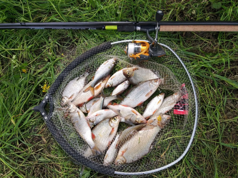 „Salmo Elite Match 15“ 4,5 m – gaudymui upėse ar universali? „Salmo Elite Match 15“ 4,5 m – gaudymui upėse ar universali?