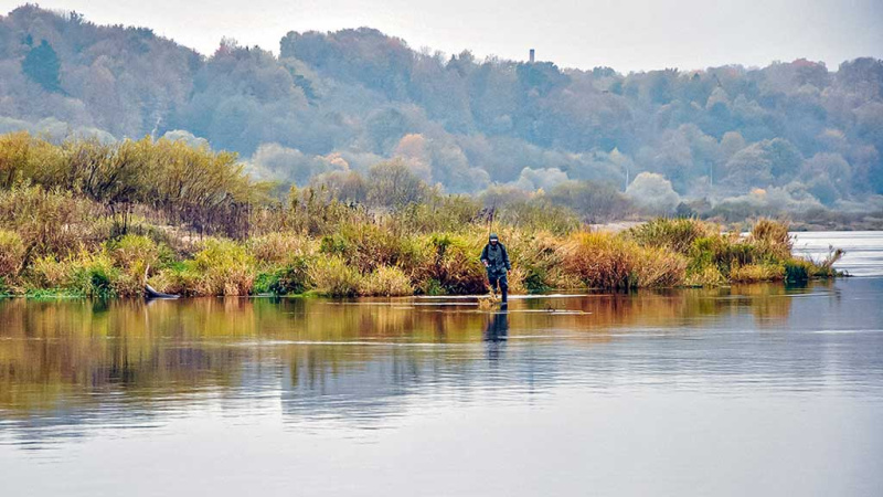 Lydekų gaudymas per darganą Lydekų gaudymas per darganą