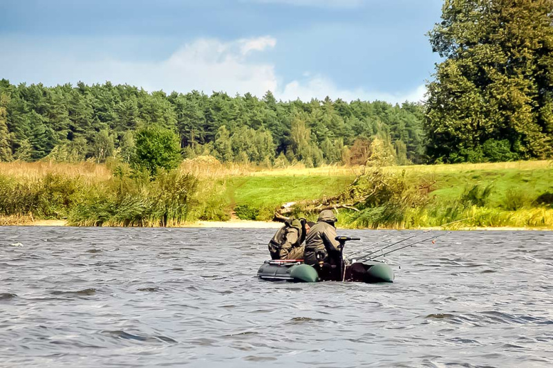 Žuvys tarp lietaus purslų Žuvys tarp lietaus purslų