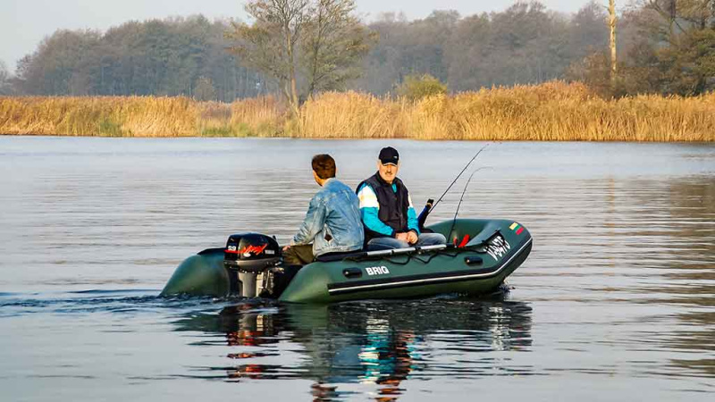 Lydekas – lydekomis. Seni ir nauji masalai Lydekas – lydekomis. Seni ir nauji masalai