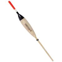 Plūdė Salmo Balsa