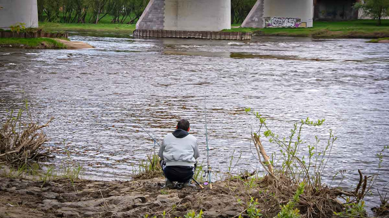 Gyvenimas po tiltu. Pirma dalis