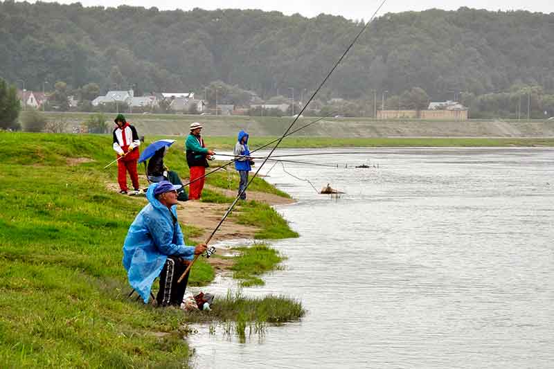 Kada žuvys būna aktyviausios
