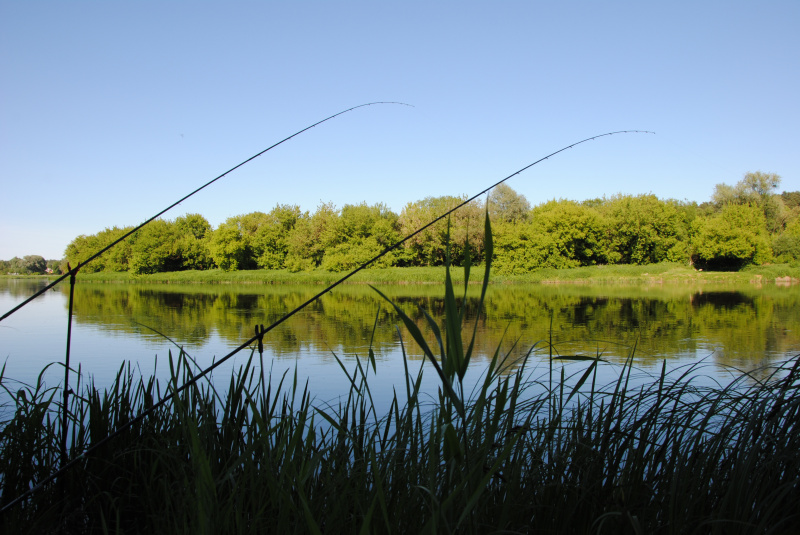 Kaip upėje užmesti ir statyti dugnines