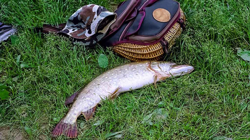 Nemunas nuo Merkinės iki Alytaus. Dvi skirtingos dienos Nemunas nuo Merkinės iki Alytaus. Dvi skirtingos dienos