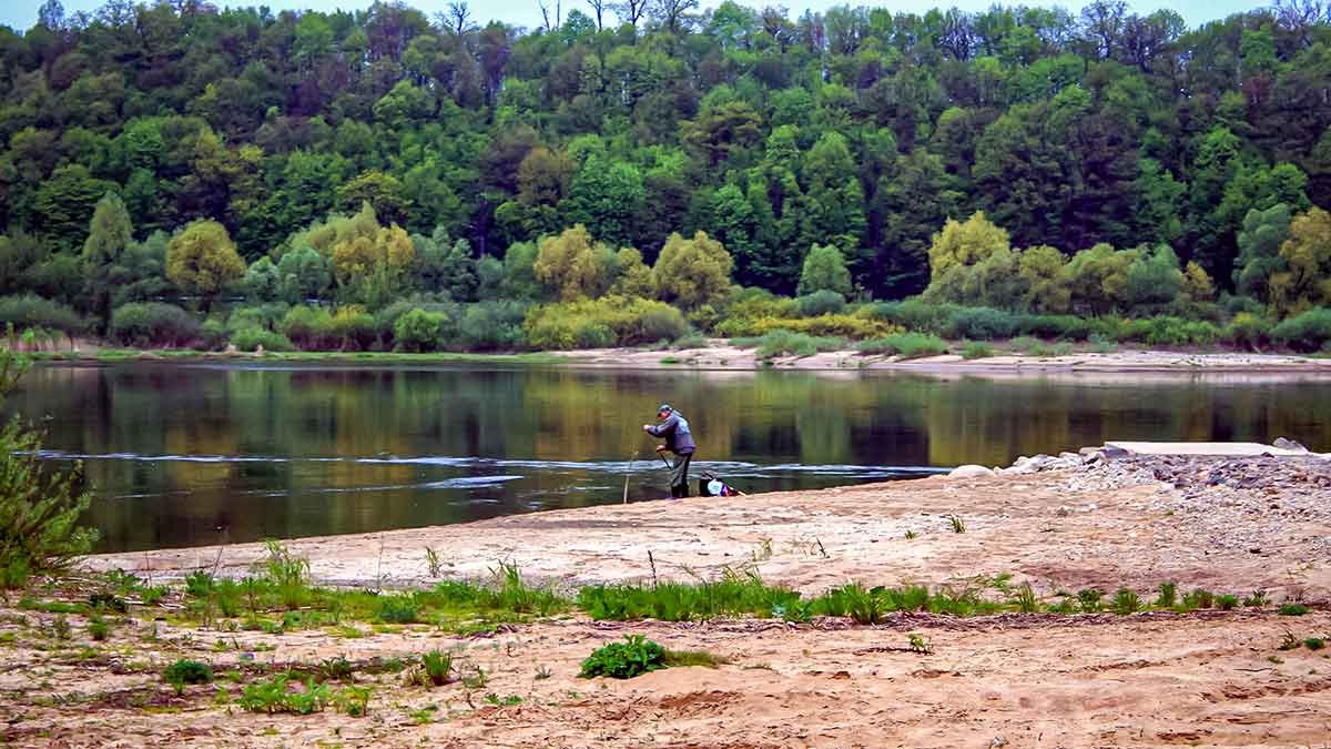 Dambologija. Ketvirta dalis Dambologija. Ketvirta dalis