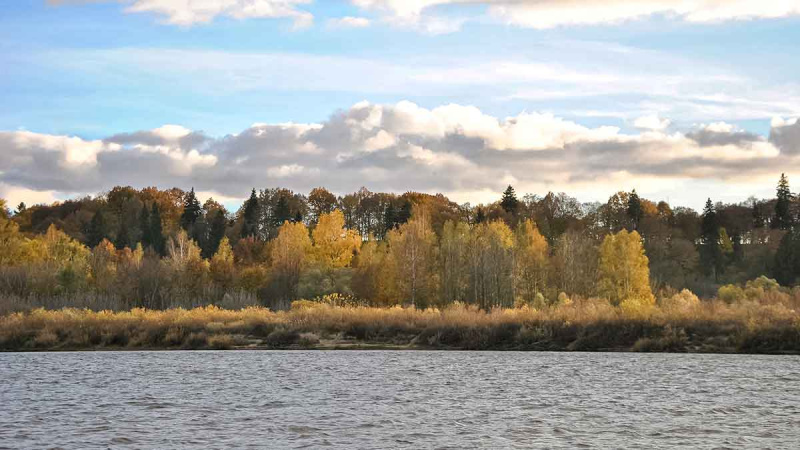 Ruduo, velkė ir minnow vobleriai. Antra dalis Ruduo, velkė ir minnow vobleriai. Antra dalis