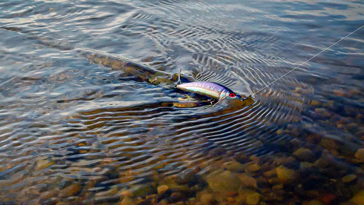 Bendrai apie fluorokarboną ir išskirtinai apie Seaguar Bendrai apie fluorokarboną ir išskirtinai apie Seaguar